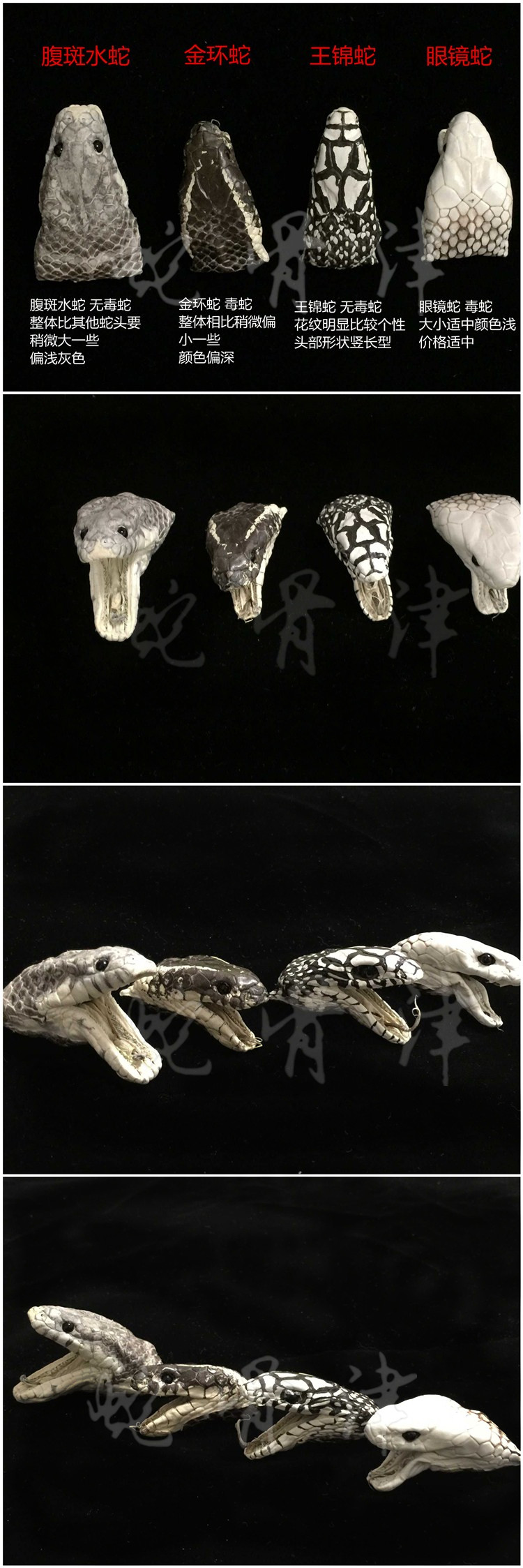蛇骨津蛇头文玩纯天然三通白玉佛头佛塔散珠手链佛珠手串diy配饰
