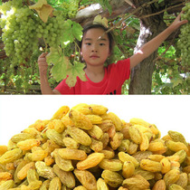 New products in 2020 Home-grown Xinjiang specialty seedless white raisins tree yellow pregnant women and children eat 500g