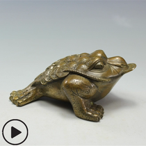 Pure copper gold toad brass Zhaocai Wangcai ornaments Feng Shui supplies gold cicada antique money frog frog frog three-legged toad