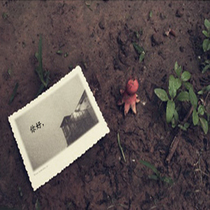 Postage to make up the difference Abnormal order special link to make up how much to shoot how much