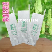 Bitter melon bag special bag cucumber fruit bag loofah fruit bag eggplant zucchini paper bag fruit and vegetable protection bag