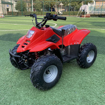 110 mini mini beach car petrol children adult mountain cross-country 4 stroke small dinosaur small bull beach car