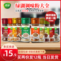 4 bottles of combination Green Lake barbecue seasoning cumin pepper pepper Pickled dipped in spice small package home