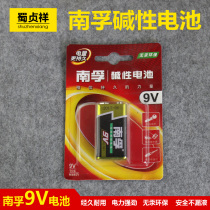 Nanfu 9V alkaline battery 1 multimeter Mike microphone toy 6LR61 square laminated nine volts 6F22