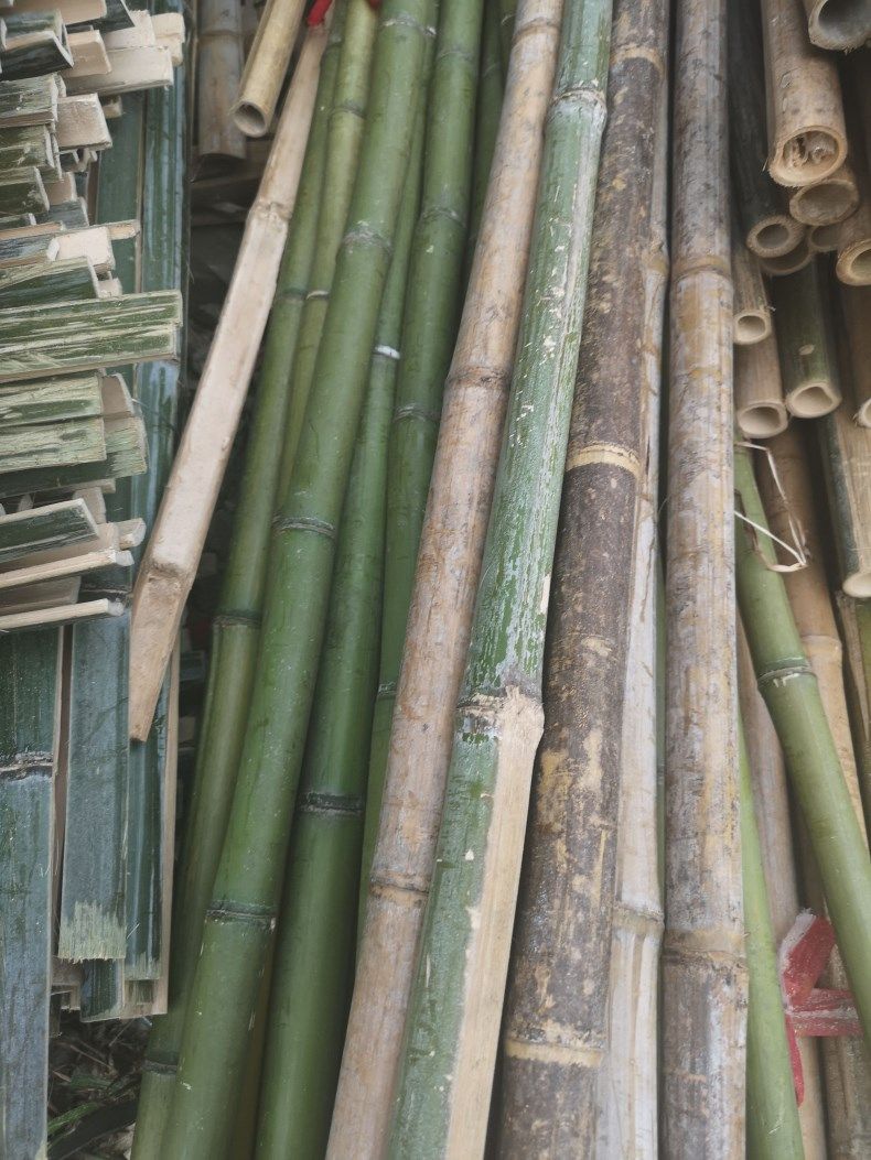 搭菜架竹竿西红柿矮庭院花架装饰架小竹竿圆竹秧瓜架番茄竹杆细