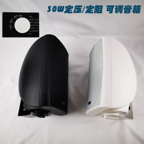Fixed resistance speaker wall-mounted speaker constant pressure fixed resistance adjustable conference speaker shop store store audio 30W