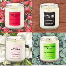 American BBW Indoor Smokeless Aromatherapy Essential Oil Candle Single Core BathBody Works Winter Cedar 198g