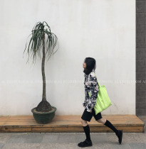 AL original homemade small green bag Korea ins new fruit green canvas bag fluorescent green bag womens bag