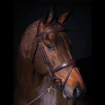 Belgiums Dyon water Le equestrian Water Le Barrier Competition Europe Calf Leather Original import Classic