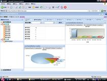 .net information management system software production extjs website construction and development system code maintenance modification