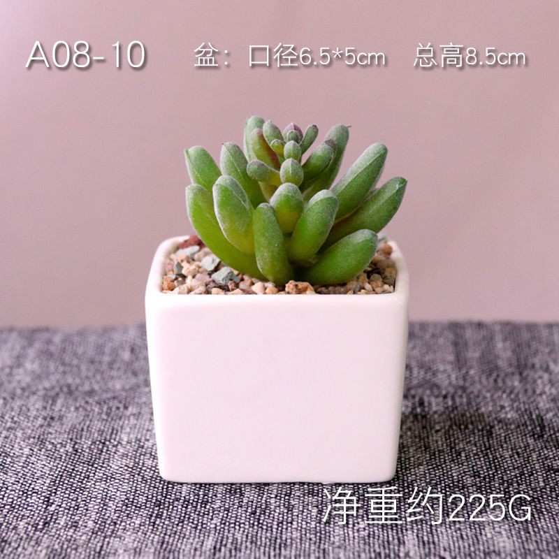 False flower small potted plant simulation, fleshy False fleshy white ceramic flower pot furnishing articles home office desktop