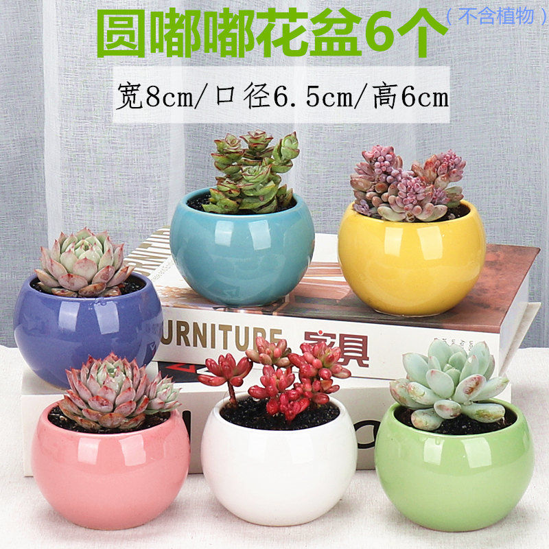 More meat meat meat flowerpot pack mail special old running the violet arenaceous basin coarse ceramic flower POTS, fleshy pot breathable small basin clearance