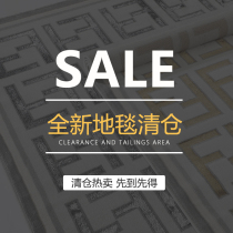 (No refund no change) cut-off special home carpet living room bedroom-clearance sale at a loss-no