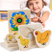 Enlightenment Early Education Growth Process Teaching Aids Sunflower Hens Frogs Butterfly Children Puzzle Multilayer Puzzle Toys