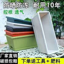 Hollon basin plastic flower pot large long strip flower basin household for cultivated vegetable pot special cleaning