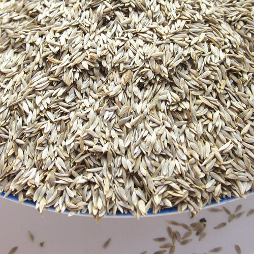 包邮 生菜籽 莴苣籽 白生菜子 黑生菜籽 白苣胜 莴苣子500克_7折现价