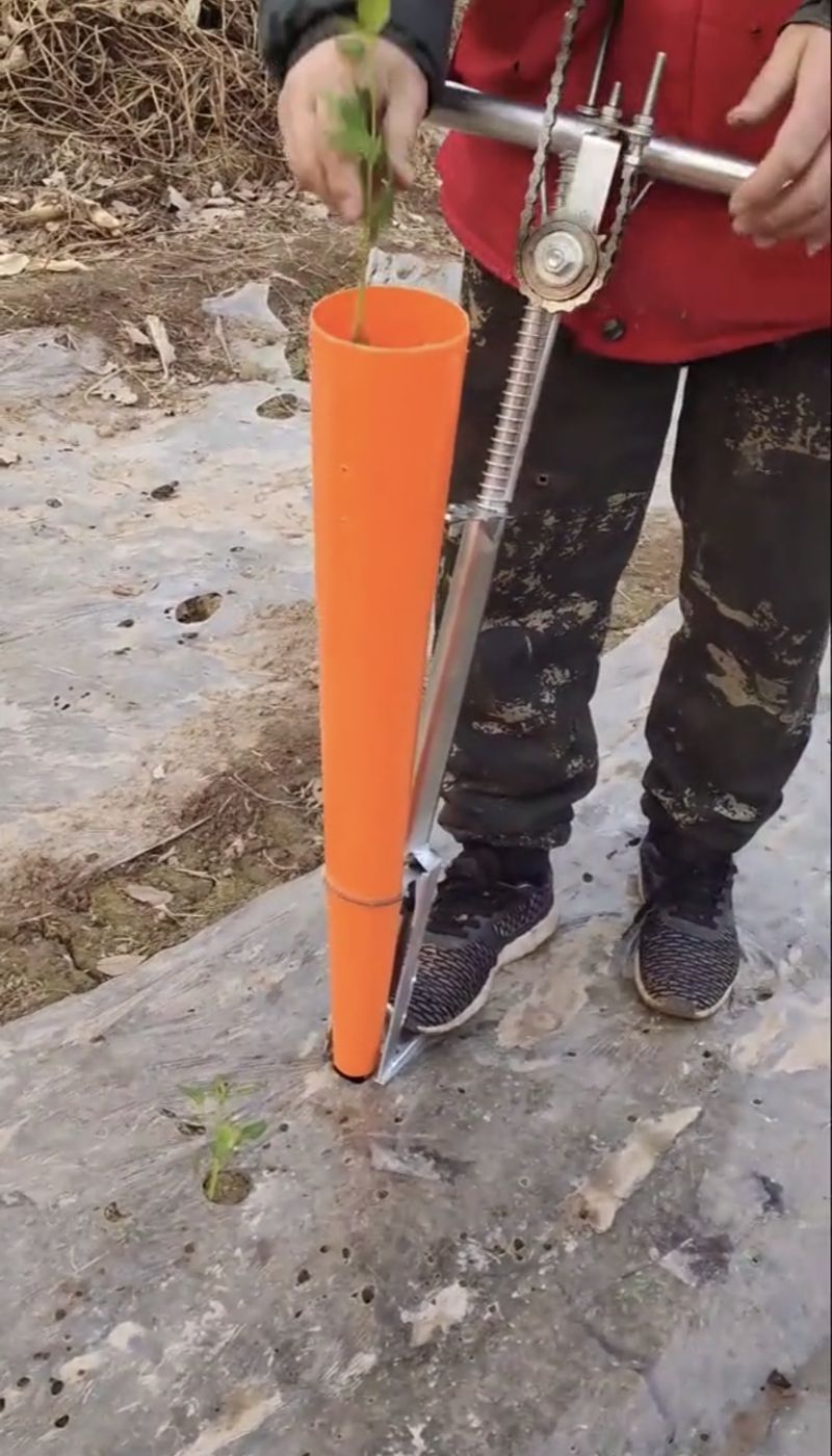 种辣椒苗神器蔬菜栽苗器农用农具育苗器工具打孔取土蔬菜多功能苗