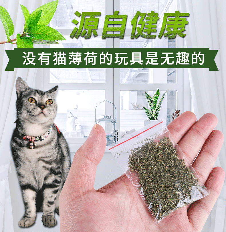 Cat snacks cat mint grass dry pet cat excitement supplies cat grass dehair ball cat mint powder