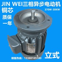 JIN WEI YT three-phase asynchronous motor 4-stage voltage three-phase 220V380V AC motor B5