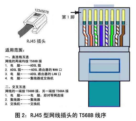 六类网线的图片和知识图片