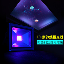 LED purple spotlight fluorescent painting invisible picture Mural wall painting KTV bar cave landscape UV purple fluorescent lamp