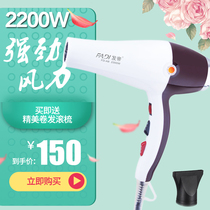 Fadi A8 Variable Frequency Hair Dryer High Power Home Hair Salon Barber Shop Hairdresser 2200W