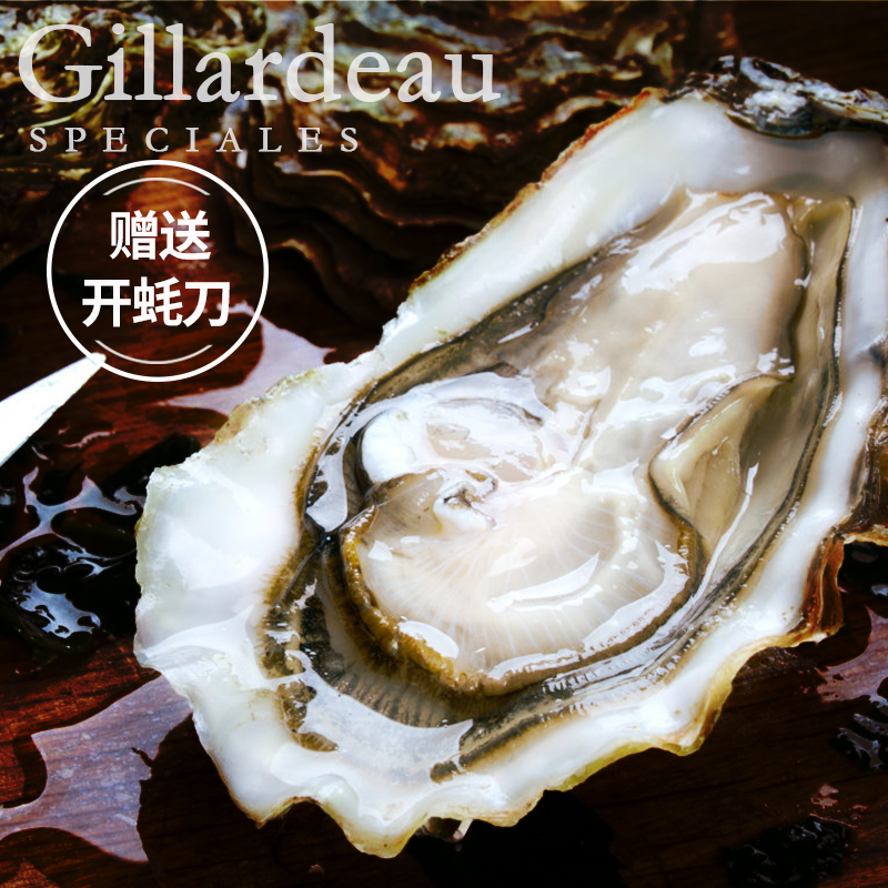 生蚝鲜活吉拉多法国生蚝原装进口N2/N1/12只海鲜水产鲜活生蚝牡蛎 生蚝鲜活吉拉多法国生蚝原装进口N2/N1/12只海鲜水产鲜活生蚝牡蛎