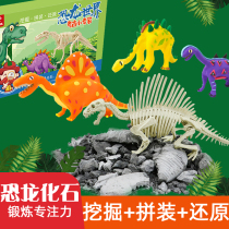 Child Dinosaur Fossil Archaeology Excavation Toy Simulation Animal Aunt Artisanal Diy Assembly Ultralight Clay Reduction