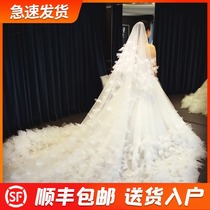 2021 new double-layer bride main wedding veil advanced ultra-long tail champagne wedding headdress super fairy forest series