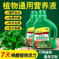 Plant nutrient solution Universal hydroponic soil grass green multi-fleshy rich bamboo flower fertilizer nutrient solution watering pot