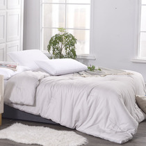 Class A antibacterial Roland home textile pure cotton autumn and winter quilt quilt core winter thickened warm quilt double bed