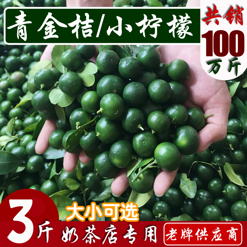 spot fresh fresh small green kumquat small lemon 5 year-round supply milk tea shop green lemon small kumquat 3 kg wholesale