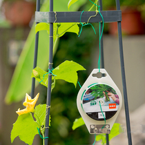 Ou Dan environmental protection PVC gardening strapping line plant traction enameled wire 75 meters 2 original high quality quality