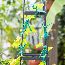 Plant strapping soft tie line courtyard time Frog strap Garden Garden Garden gardening tools New 10