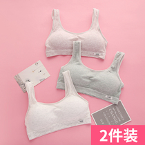 Underwear Female development small vest thin section big boy Junior high school high school students 12-16 years old rimless girl bra