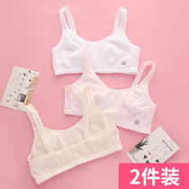 Underwear Female development small vest 12-16 years old virgin girl Junior high school high school students rimless girl bra