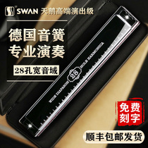 German imported sound Reed Swan accent 28-hole Polyphonic C tune harmonica professional performance Advanced Beginner beginner Introductory