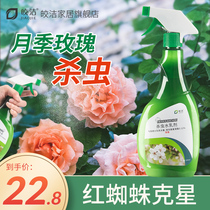 Rose flower insecticide red spider family Universal rose flower pot soil flower plant potted flower plant aphids