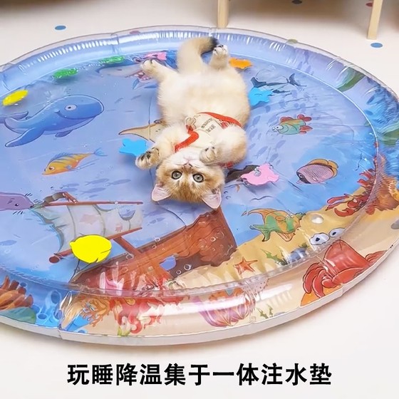 Inflatable water injection mat pet ice mat cat water bed thickened water mat fun toy dog inflatable summer sleeping mat
Inflatable water injection mat pet ice mat cat water bed thickened water mat fun toy dog inflatable summer sleeping mat