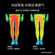 스포츠 긴 바지 남자 봄과 여름 얼음 실크 하이 탄성 스타킹 농구 훈련 퀵 건조 9 점 레깅스 남자 스포츠 긴 바지 남자 봄과 여름 얼음 실크 하이 탄성 스타킹 농구 훈련 퀵 건조 9 점 레깅스 남자