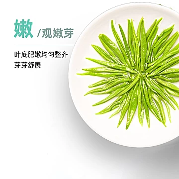 【稳定签到】碧螺春绿茶100g[4元优惠券]-寻折猪