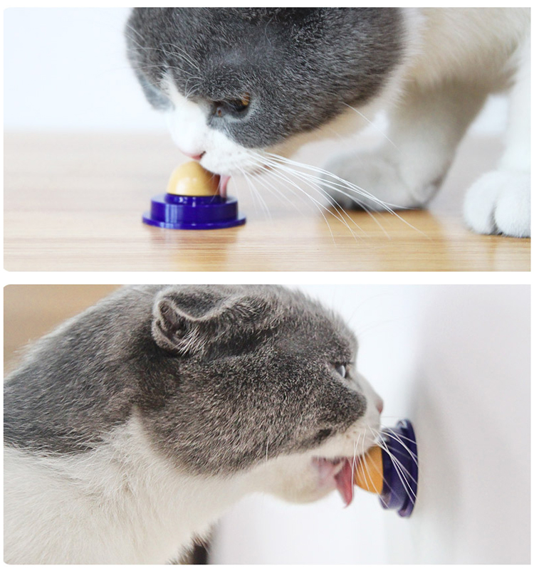 猫糖舔舔乐化毛猫咪糖抖音网红猫糖