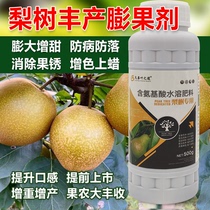 German imported pear tree drug sweetening and sweet fruit fissure anti-fissure pear tree coloring on wax eliminating rust prevention