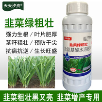 Germany imported leeks strong black and bright leaf fat anti-dry tip long fat fat anti-disease precocious increase production