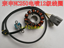 Zongshen NC250 RX3 ZS250GY-3 Sports car Jiajue new feeling EFI coil stator