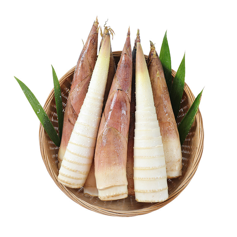 鲜竹笋!雷笋新鲜小竹笋3斤