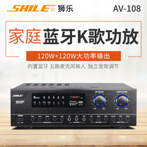 Lion Music AV108 KTV Power Amplifier Professional Stage Conference Karaoke Private Room Home Amplifier