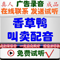 Vanium duck advertising recording duck honey dubbing shop floor roast string bar selling voice Jingzhou pan helmet recording bell