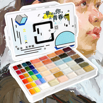 Elon 53 Color Toning Paint 40ml80ml Color Head Water Powder Paint Fine Art School Exam Color Blind Exam Paint