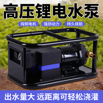 High-voltage lithium battery water pump for pumping water and watering flowers new high-power motor vegetable garden pesticide spraying and watering artifact